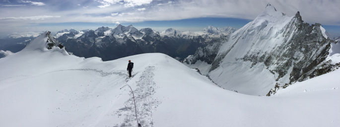 bishorn alpes suizos