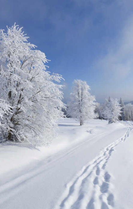 Guía Informativa de Raquetas de Nieve en Sierra Nevada - Blanca Nieve